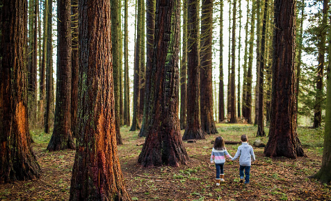 Vertiente medioambiental