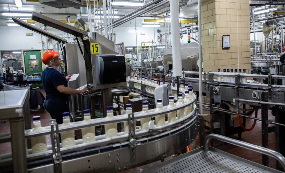 etiquetado en línea de botes de mayonesa conoperario al fondo controlando etiquetadora